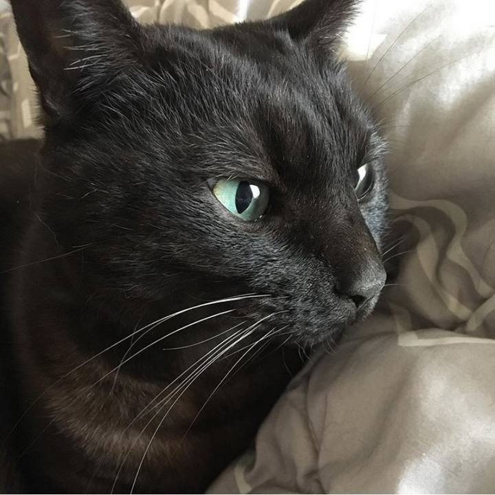 295150d1 c8cd 410c a593 a7397274fe33 1578827077922