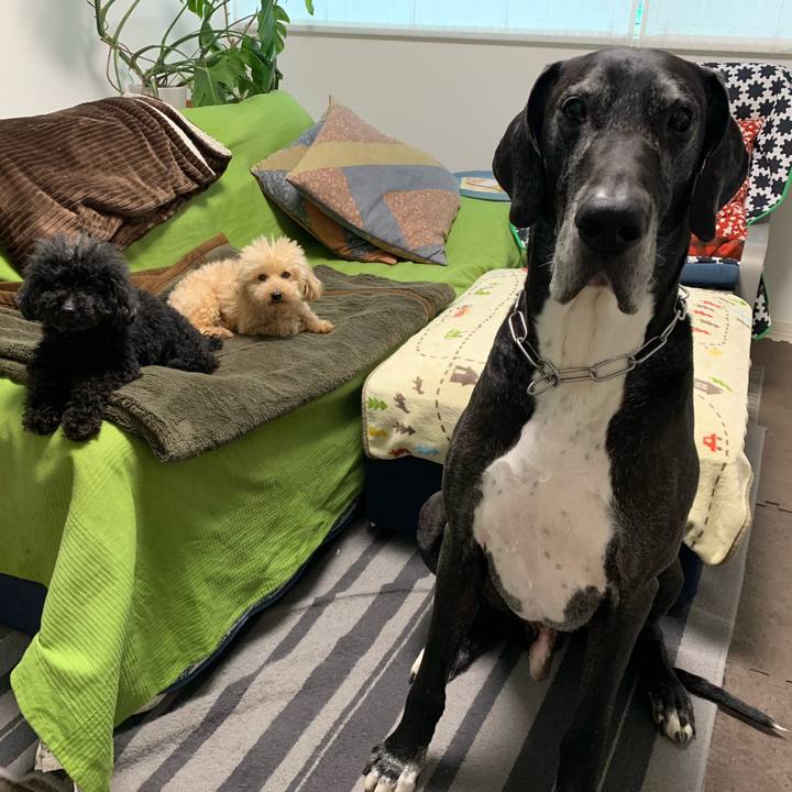 29519314 6c55 495d b5c6 427a13df342a 1553553672904