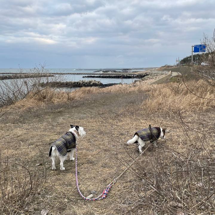 2951a1d1 b435 401e b256 d97d90f27740 1771285375391