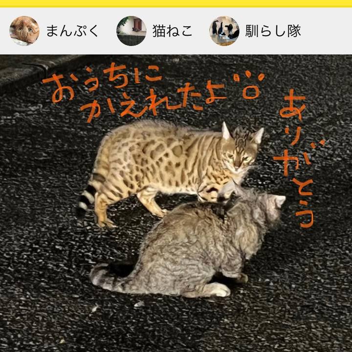 2951a226 ea22 4ef8 ac7b efc96d597ccf 1699054018897