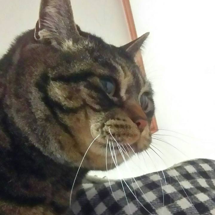 2951c0b8 98bf 48e9 b7c5 b36eea8cdd02 1553431534476