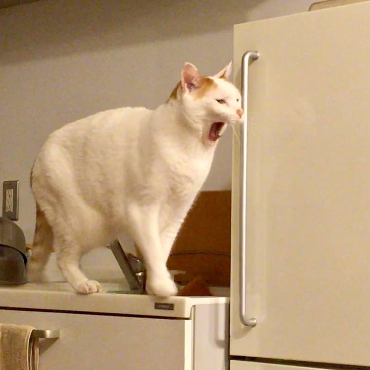 2951d168 3674 4da1 a377 20e0cec332f4 1514040356534