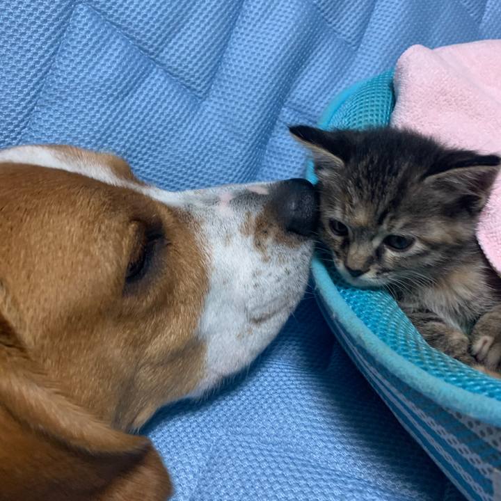 2951eba9 e5dc 4139 a0dd be4e09509f1b 1589380872851