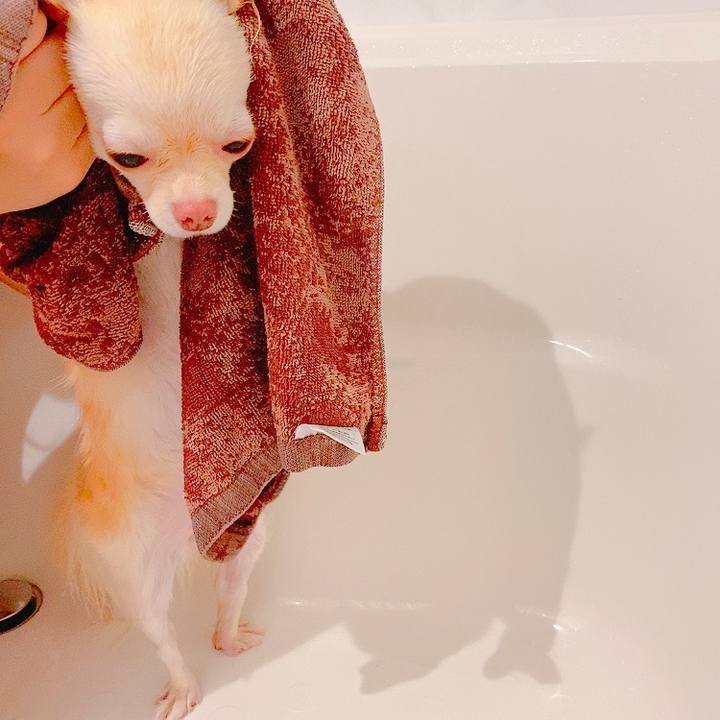 2951ef7e 9bce 4e65 aff1 12a6d6f712cb 1626265884087