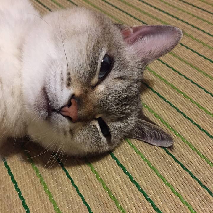 29520af6 fe9b 411c 8aea 26d1429c2cf1 1532255480359