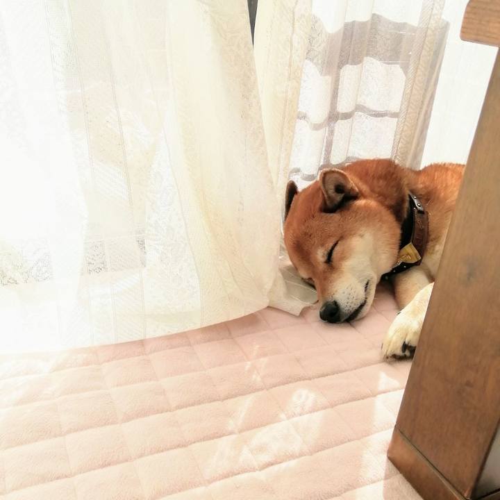 29520b1e ba1b 4feb b6c2 0c290a9d8bcf 1603947261816