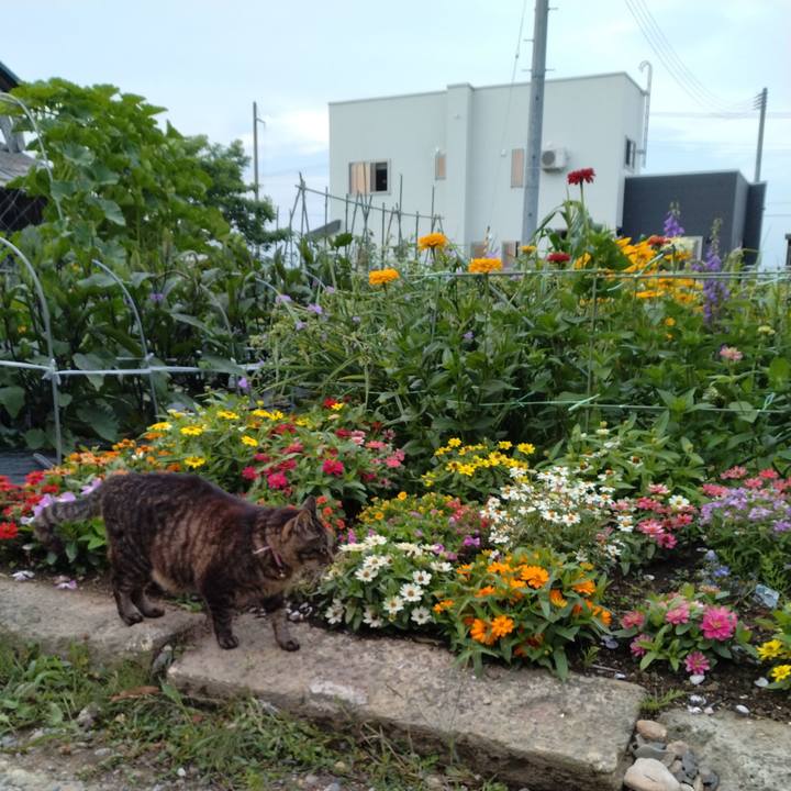 29521fc9 60a6 430e 873f 178994b4c0ab 1720133574116