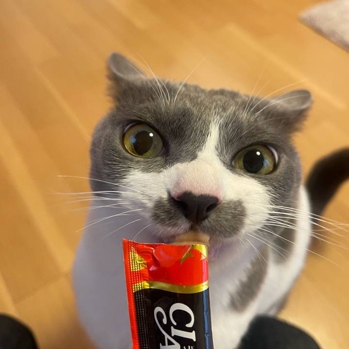 29522532 2df3 4543 991a 19fb56ed035e 1704264509035