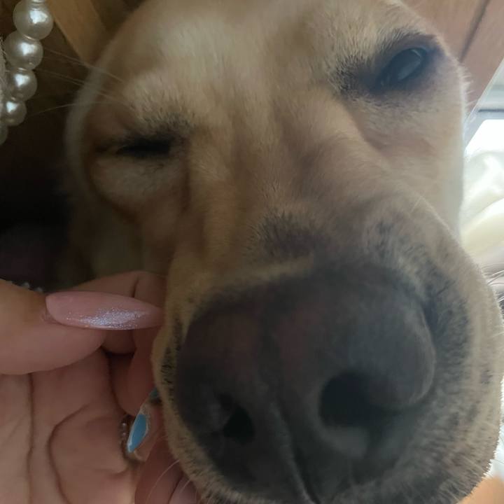 29522fc2 587c 4dbc a58d b58162c9bdde 1666616078932