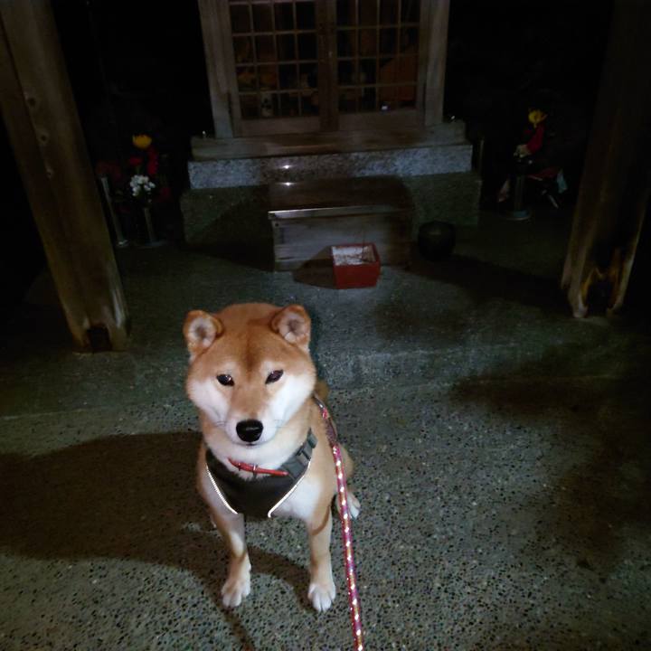 29523468 a55b 487a 8b33 3b90498d45f5 1767563108977