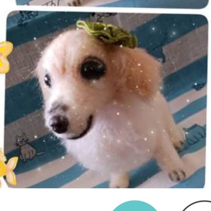 295286c2 e932 444c 9239 b8091c508471 1720776714020