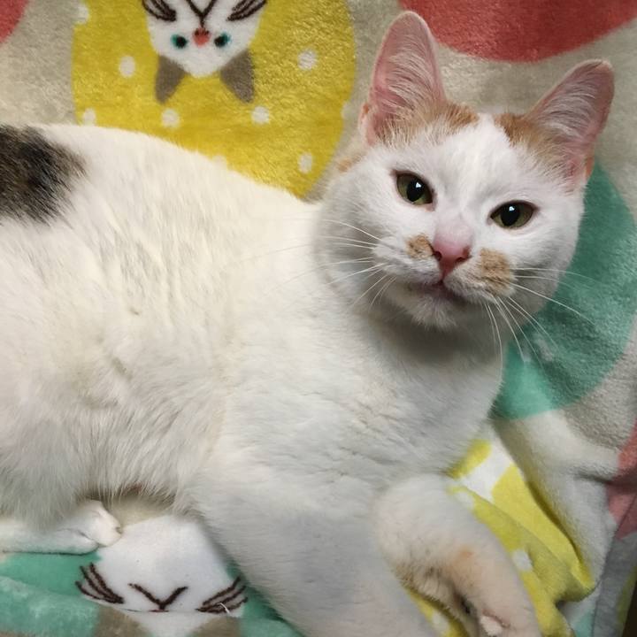 2952da99 46b1 478f a6c9 87bc4c218e5f 1520040285887