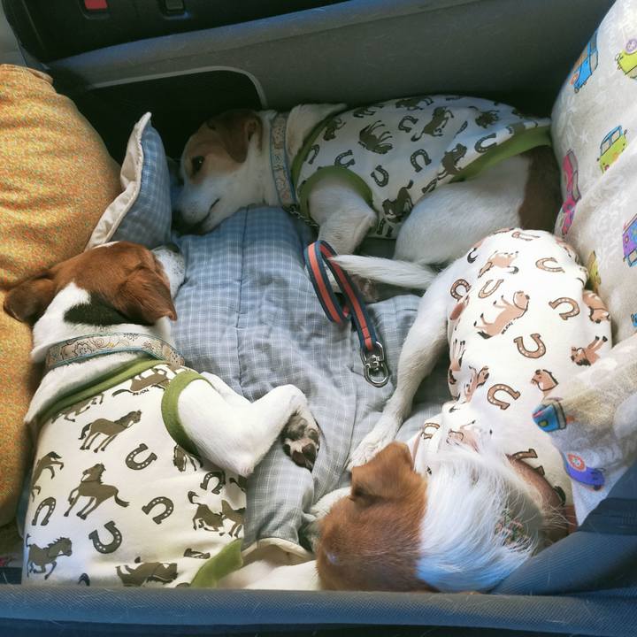 2952e703 5313 4b57 b73e 759559c8839e 1768035167571