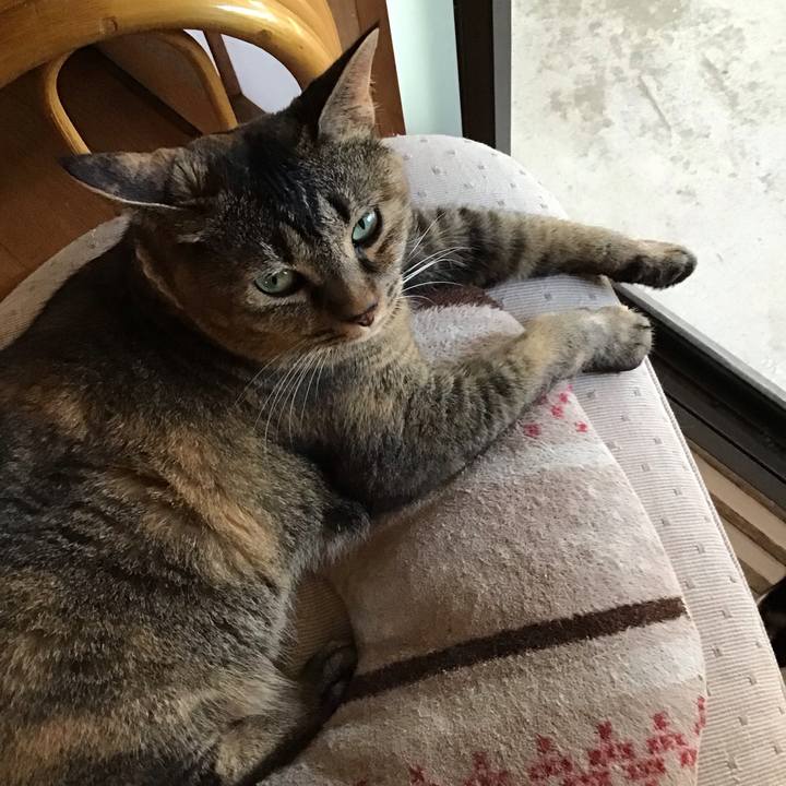 2953495f 0f47 4320 b423 070e8cd9976a 1691671703387