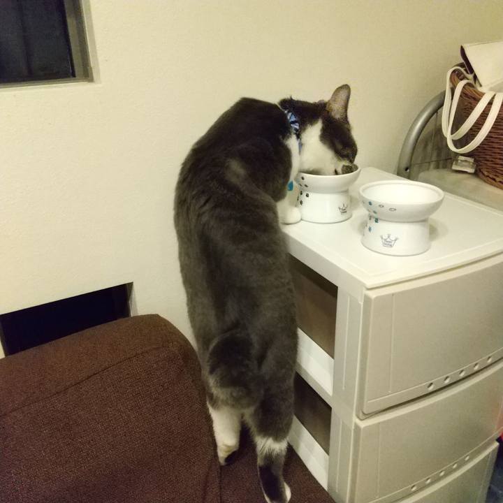 29535cf9 e076 4c06 916e f07a333f94be 1612526690060