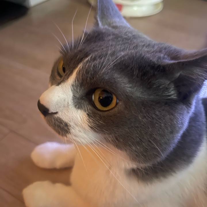 2953950d 5ec5 4484 9c8d 4a2e5e66c296 1720905444430