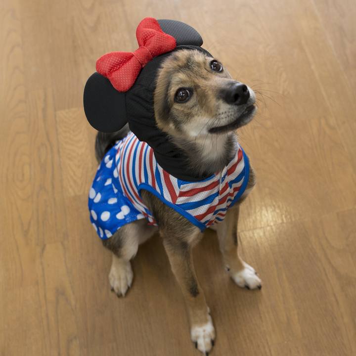 29539fa3 a40e 46af 8512 53655535677f 1529585136024