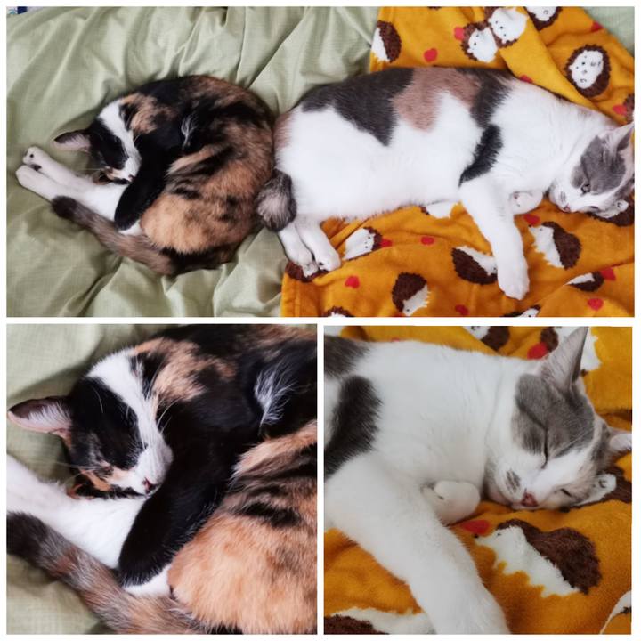 2953a875 2dc3 4a17 ba92 76ecadd76f0c 1635306967768