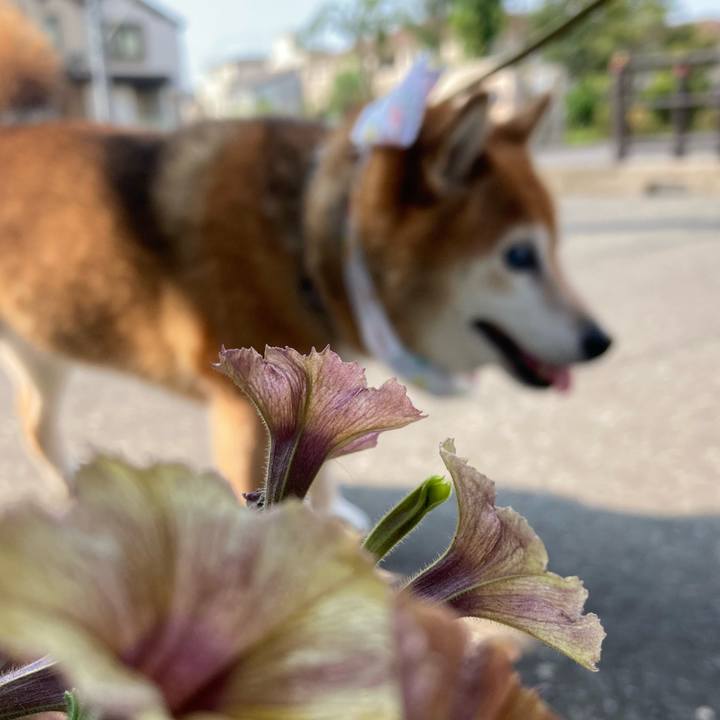 2953d9c0 fe51 4e38 890c 8787f10bcbf2 1690429472301