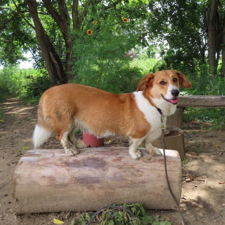 2953dfd0 7d2b 4eda 870b 3665e2f880e4 1622706196880