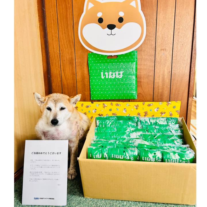 29541586 386c 49c1 8c29 a6b5e1539593 1762322793906