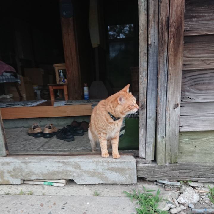 29541d20 1bcf 4eaa b95f 6387954507be 1654374963680