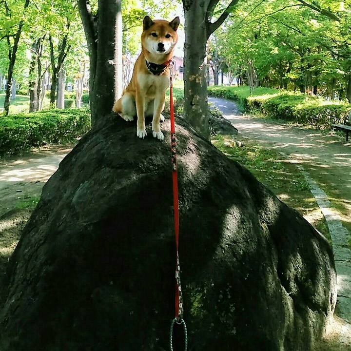 29542c07 3256 417f b73e 2e5bb6f6c02c 1558658149488