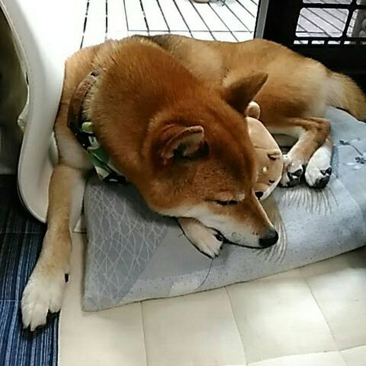 29543c61 82a2 4cba 8762 fc03065cf357 1561698866819