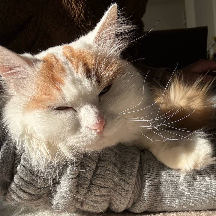 29543c6d 41ae 4af1 86df 3a165ffc1414 1774496378156