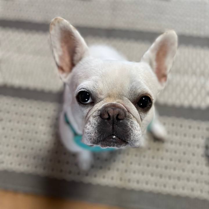 29544891 ee0e 47bf ae89 8f17bcab216b 1728600550422