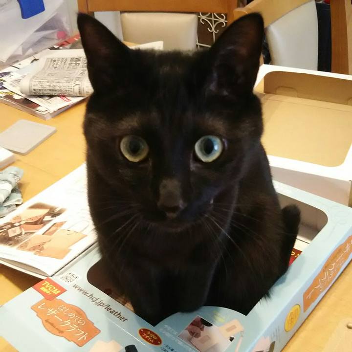 29545954 30c6 450c aa94 24c7db0d2ed2 1549093815438