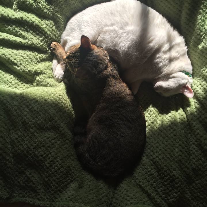 29549551 1dc5 461f b17e 974c41f97d9f 1549324409634