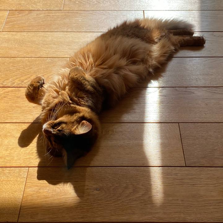 2954ab85 85a8 4529 a2de d07b89ef2aa5 1731208031662