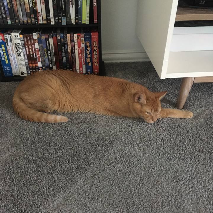 2954bc12 4aef 4a8b 87c6 e789274fde50 1663646236740