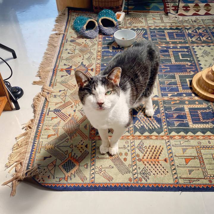 2954d52c 5fae 49b0 a93e 93d0d7320477 1616031960528