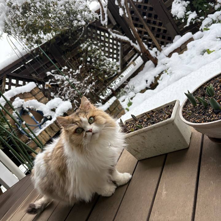 29550871 8934 474f a30b 127f678136ad 1770525776564