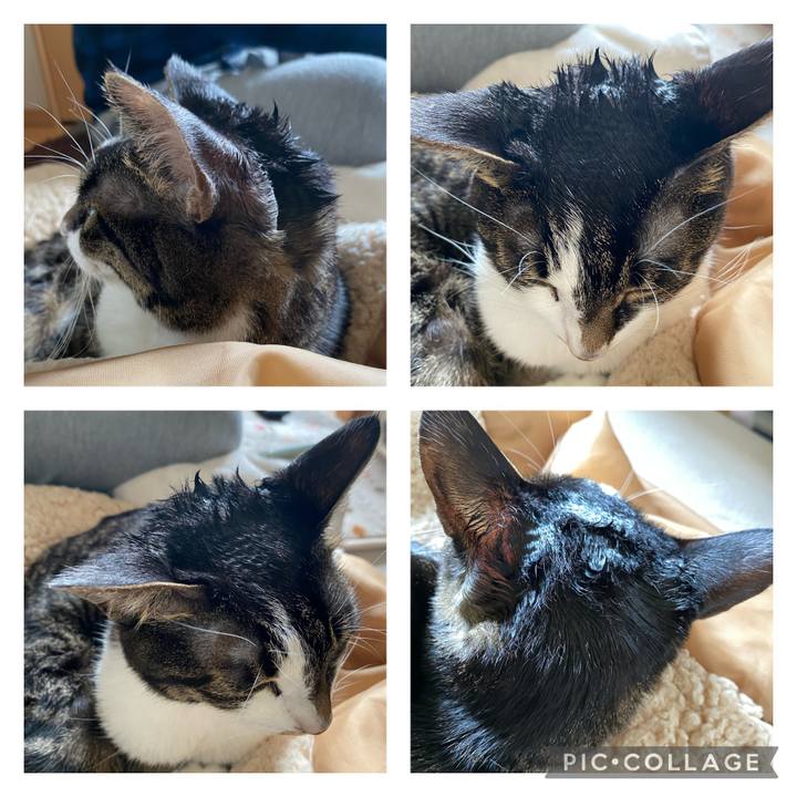 29555015 df0d 4b6c 835a 8aba0abef3ae 1669588901344