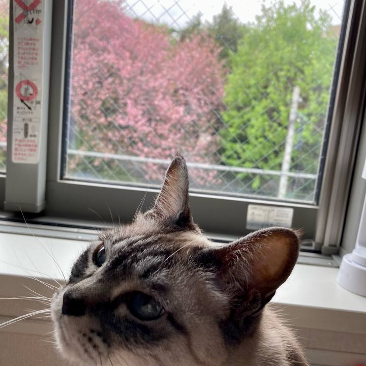 29556e6e 9e79 44ba 9eb1 235afa009a1f 1680918998549