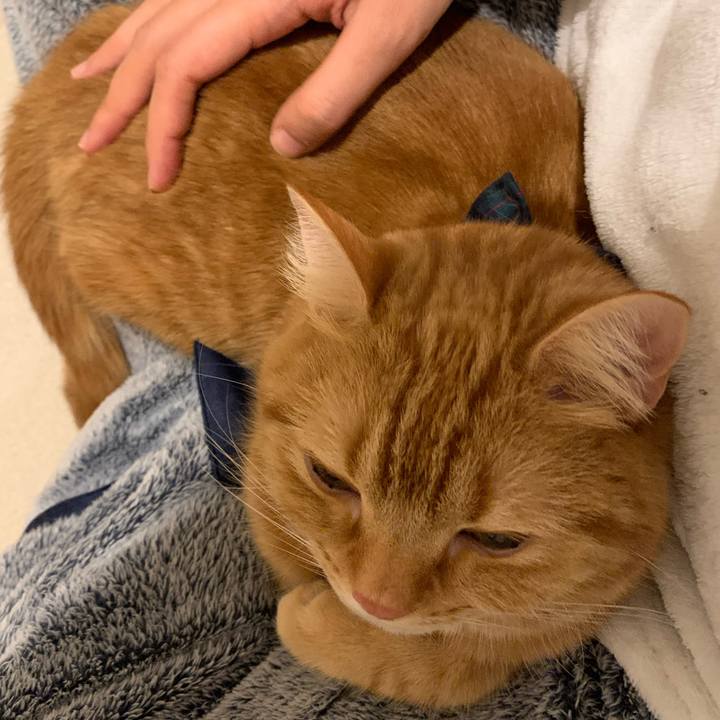 29557aa7 d66e 45aa 8ffc 37bb287af3e2 1580339357520