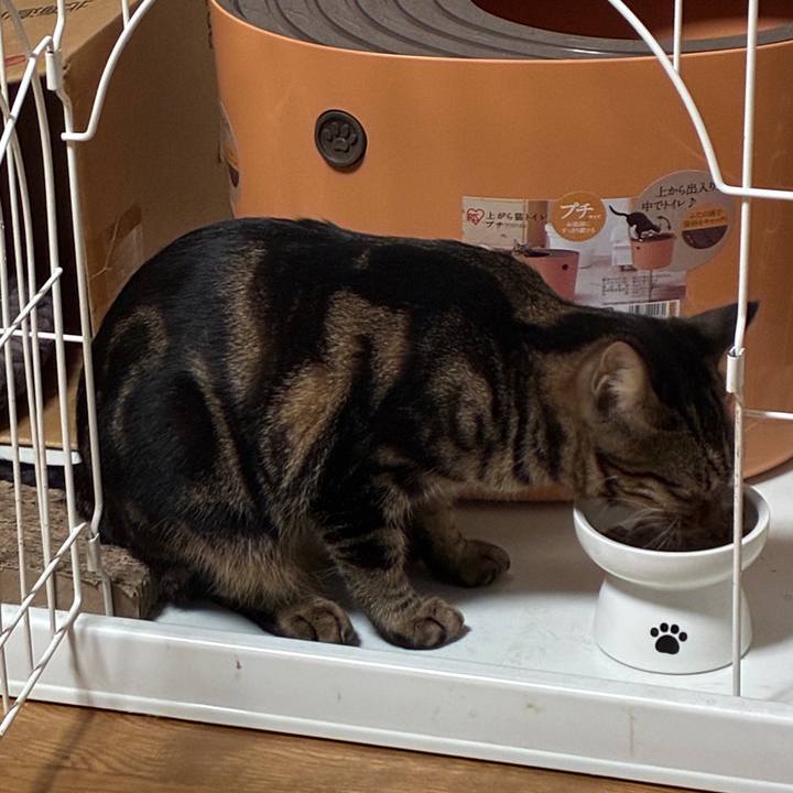 295584c5 6e39 4078 aa7d cfc070a8afd0 1761945373719