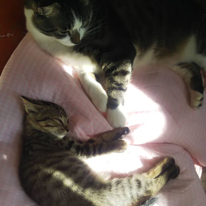 2955ed38 9eda 4349 995e b04d5b6be88f 1635487690392