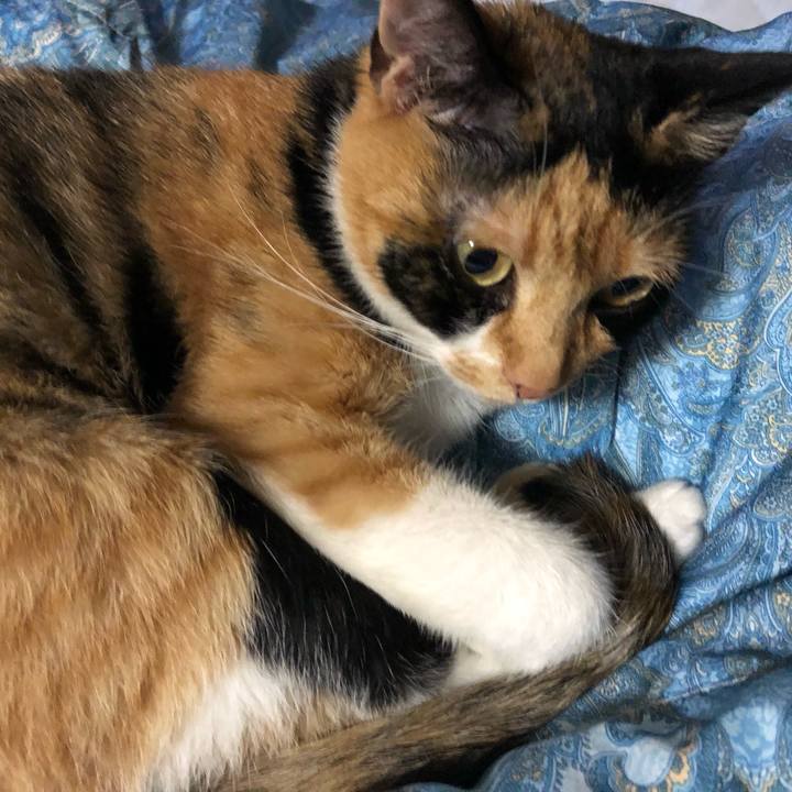 2955f308 9805 4a83 aaea 15d0b24d4c9e 1562943372888