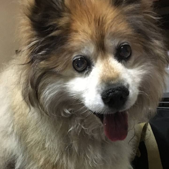 2955f409 0960 4263 ac94 c5bb890ba20e 1600628063726