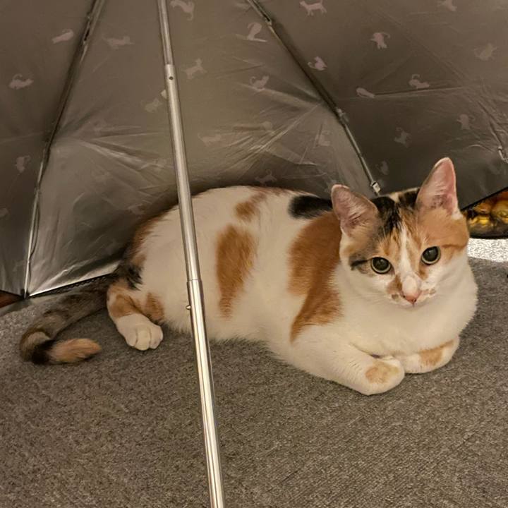 2955f81e 270f 46a5 b9b1 1bf9697ec5a3 1660301471277