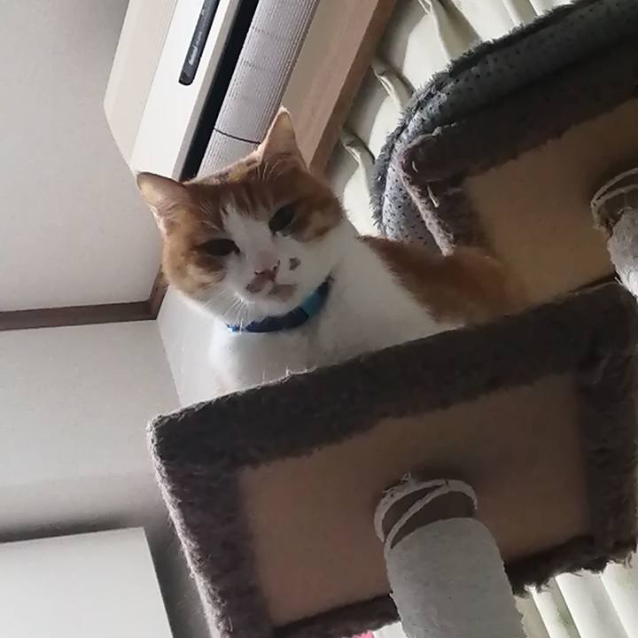 2956267e 35d0 4894 b08e 720129b1dc52 1618480088038