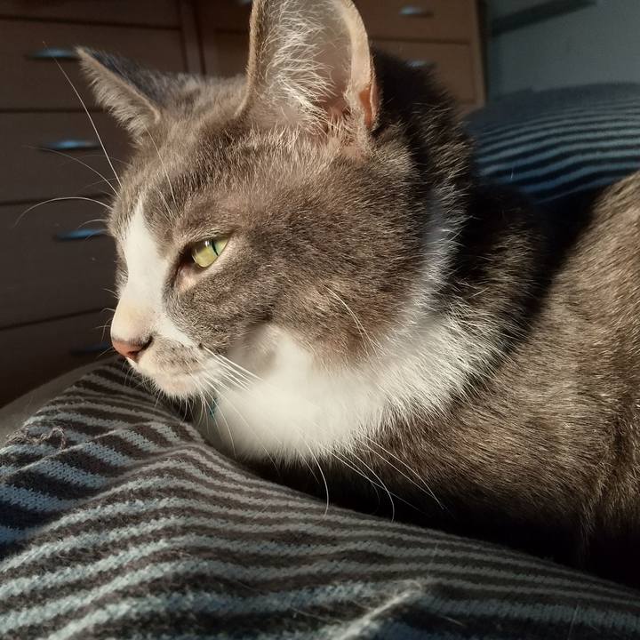 29562768 e088 40f7 af03 90f6827a99af 1614463360192