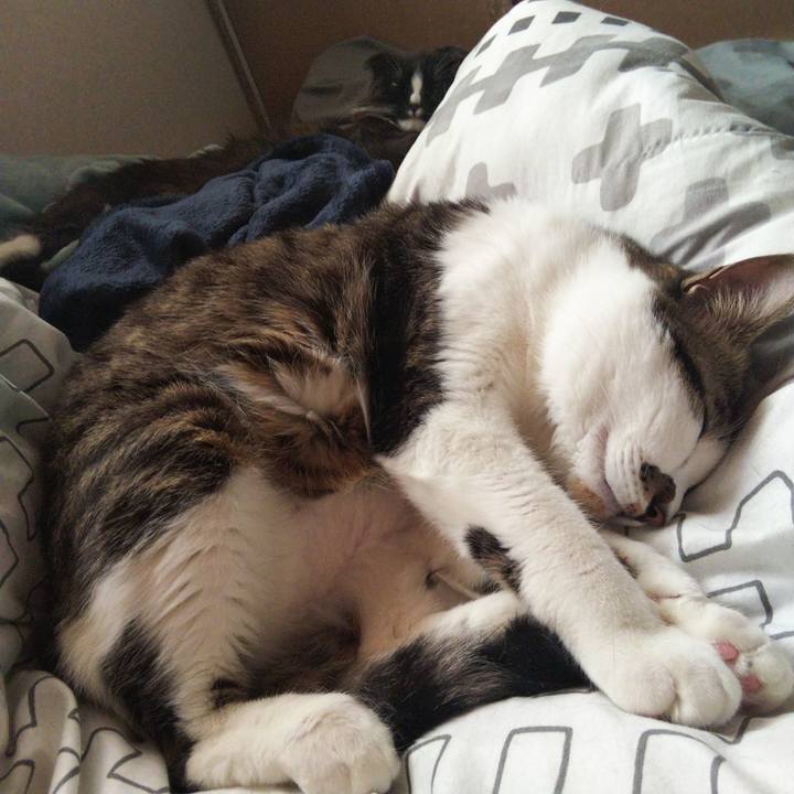 295633f6 538c 44cb 85c0 5ffa6c372ad3 1640839261833