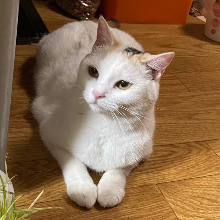 29563e6c 8afe 4283 97a6 c2ac0a3b3a48 1626705678521