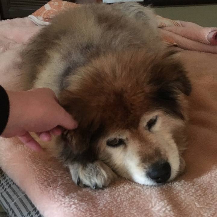 29565486 2290 4adb b37c 92687dde1219 1593567157501