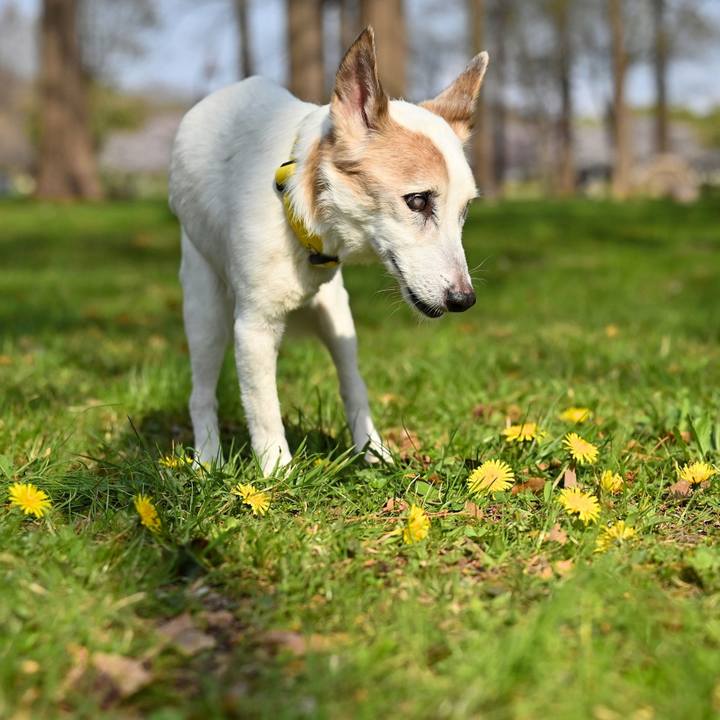 29566902 86ba 4c3e 9384 d48ffcf14658 1775043190400